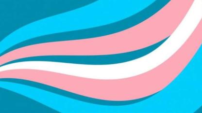 trans:connect