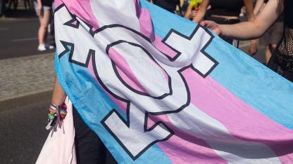 Transflagge mit dem Logo f&uuml;r nicht-bin&auml;re Geschlechtsidentit&auml;t auf der Demonstration, im Hintergrund eine Menschengruppe